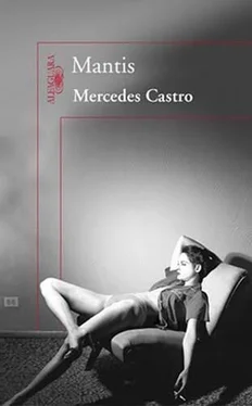 Mercedes Castro Y punto обложка книги