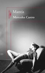 Mercedes Castro - Y punto