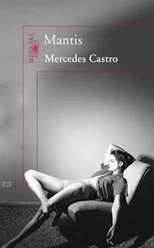 Mercedes Castro Y punto 2008 Mercedes Castro Díaz Para Clara por la - фото 1