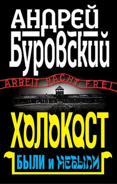 Андрей Буровский Холокост. Были и небыли обложка книги