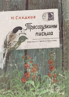 Николай Сладков Трясогузкины письма обложка книги