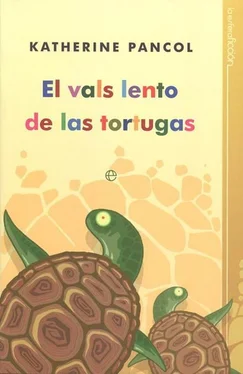 Katherine Pancol El vals lento de las tortugas обложка книги