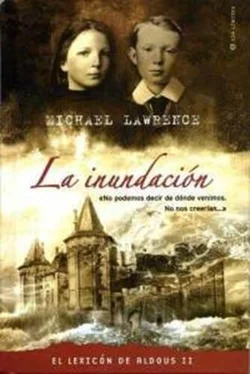 Michael Lawrence La inundación обложка книги