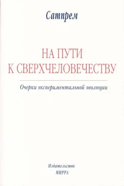 Сатпрем НА ПУТИ К СВЕРХЧЕЛОВЕЧЕСТВУ: Очерки экспериментальной эволюции обложка книги