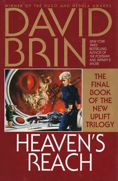 David Brin Heaven's Reach обложка книги