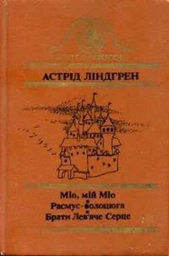 Астрід Ліндгрен Расмус-волоцюга обложка книги