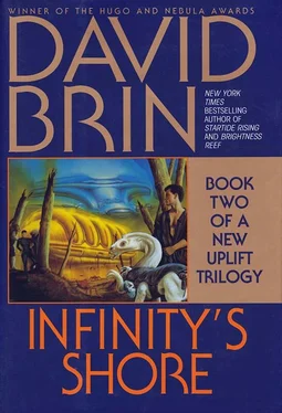 David Brin Infinity's Shore обложка книги