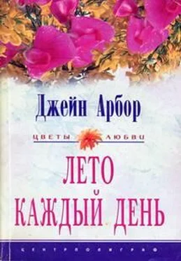 Джейн Арбор Лето каждый день обложка книги