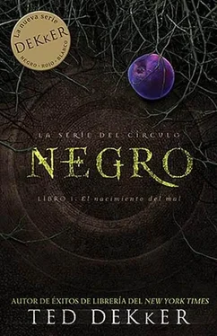 Ted Dekker Negro обложка книги