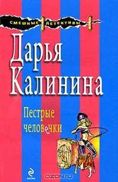 Дарья Калинина Пестрые человечки обложка книги