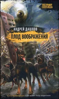 Андрей Дашков Плод воображения обложка книги