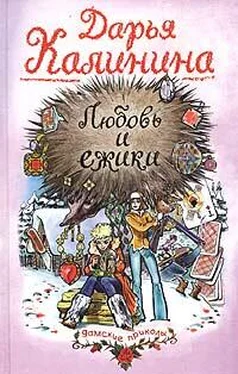 Дарья Калинина Любовь и ежики обложка книги