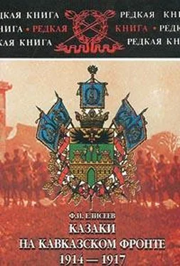 Федор Елисеев Казаки на Кавказском фронте 1914–1917 обложка книги