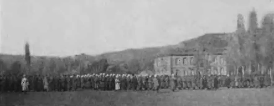 1й Лабинский полк на построении Каре 1915 г Лошади казачьего полка - фото 19