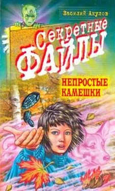 Василий Акулов Непростые камешки обложка книги