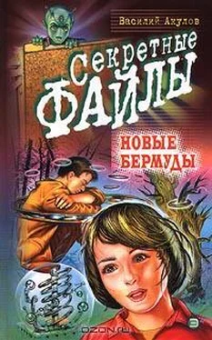 Василий Акулов Новые Бермуды обложка книги