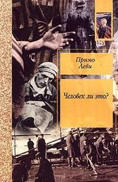 Примо Леви Человек ли это? обложка книги