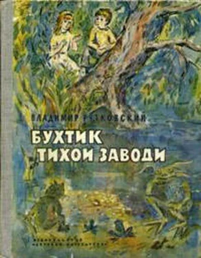 Владимир Руткивський Бухтик из тихой заводи обложка книги