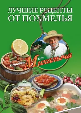 Николай Звонарев Лучшие рецепты от похмелья обложка книги