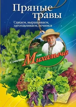 Николай Звонарев Пряные травы. Сажаем, выращиваем, заготавливаем, лечимся обложка книги