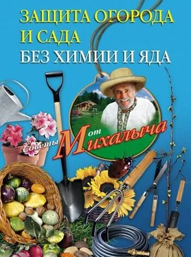 Николай Звонарев Защита огорода и сада без химии и яда обложка книги