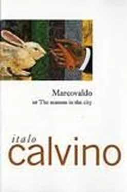 Italo Calvino Marcovaldo or The Seasons in the City обложка книги