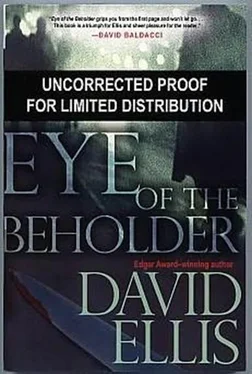 David Ellis Eye of the Beholder обложка книги