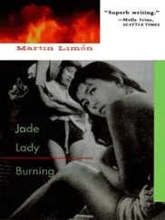 Martin Limon - Jade Lady burning