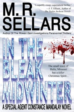 M. Sellars In the bleak midwinter обложка книги