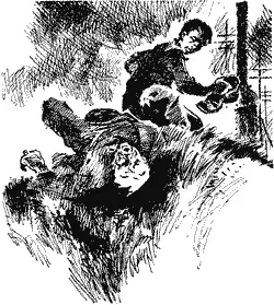 1 Надо бы немного передохнуть У лесопилки холодно и пыльно Круговая пила - фото 10