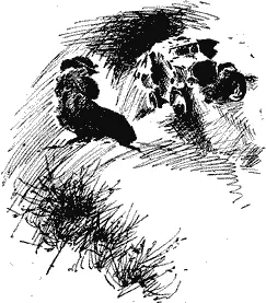 1 Часы отсчитывают время Военное время совсем другое и не похожее на - фото 5