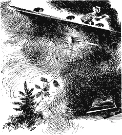 1 В дождь спать хочется Плывут за окном холодные и синие тучи затянув небо до - фото 8