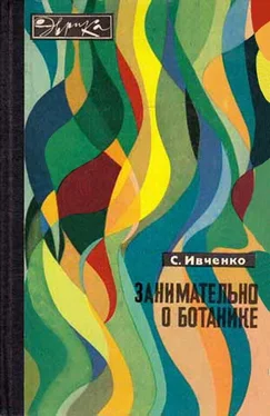 Сергей Ивченко Занимательно о ботанике обложка книги