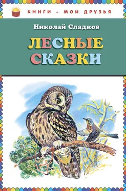 Николай Сладков Лесные сказки обложка книги