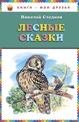 Николай Сладков - Лесные сказки