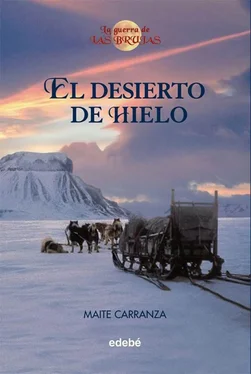Maite Carranza El Desierto De Hielo обложка книги