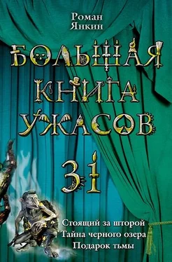 Роман Янкин Тайна черного озера обложка книги