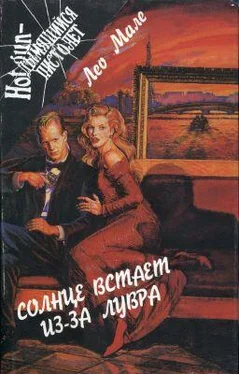 Лео Мале Лихорадка в квартале Маре обложка книги