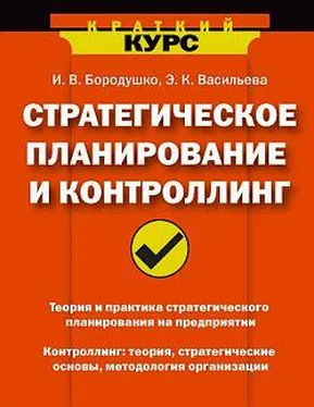 Ирина Бородушко Стратегическое планирование и контроллинг обложка книги