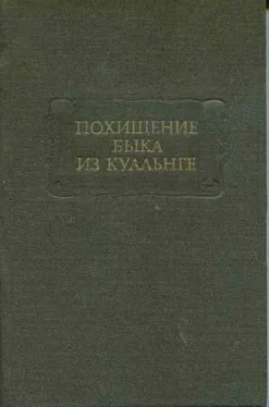 Ирландские саги Похищение быка из Куальнге обложка книги