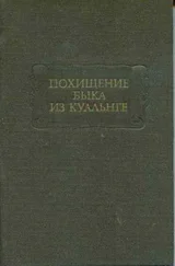 Ирландские саги - Похищение быка из Куальнге