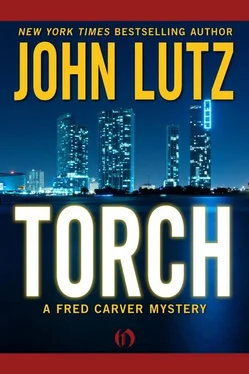 John Lutz Torch обложка книги