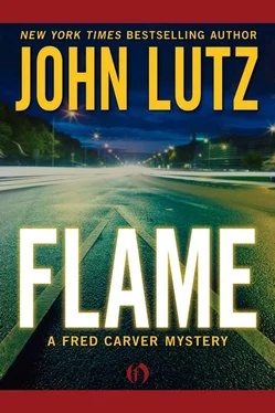 John Lutz Flame обложка книги