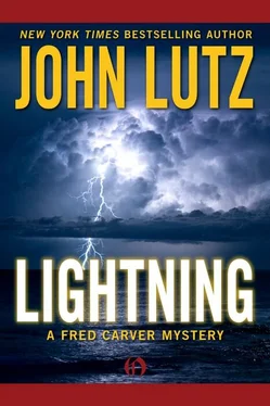 John Lutz Lightning обложка книги