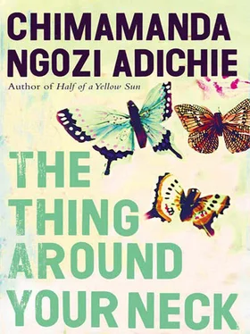 Chimamanda Adichi The Thing Around Your Neck обложка книги