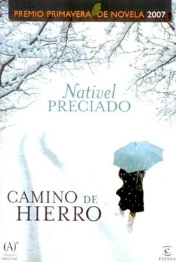 Nativel Preciado Camino de hierro обложка книги