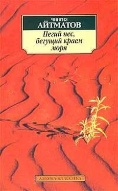 Чингиз Айтматов Пегий пес, бегущий краем моря обложка книги