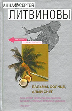 Анна Литвиновы Пальмы, солнце, алый снег обложка книги