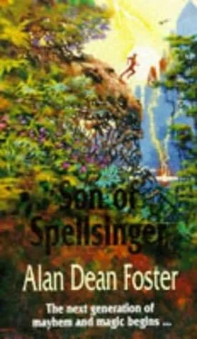 neetha Napew Son Of Spellsinger обложка книги