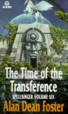 neetha Napew The Time Of The Transferance обложка книги